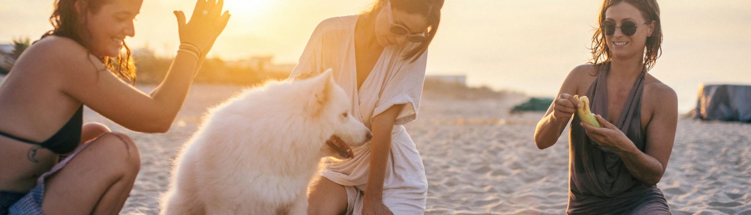 Głośnik Bluetooth na plażę: jaką funkcjonalność powinien posiadać?