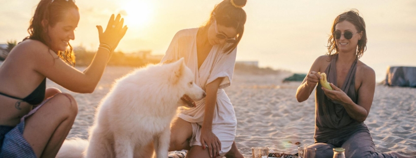 Głośnik Bluetooth na plażę: jaką funkcjonalność powinien posiadać?